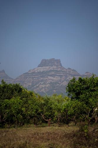 The Riverstone Agro Farm