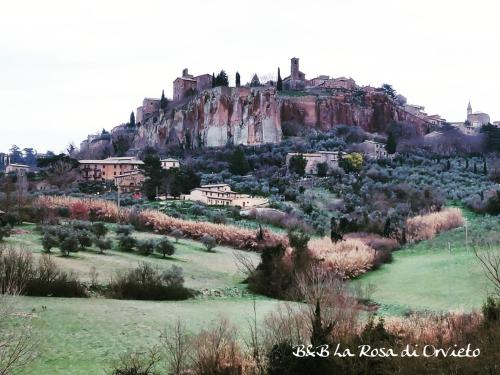 B&B Orvieto - La Rosa di Orvieto - Bed and Breakfast Orvieto