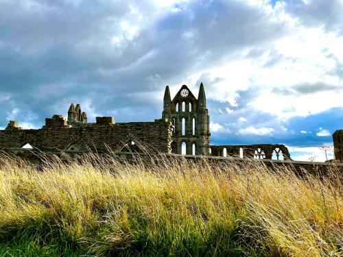 法凡公寓 法凡公寓