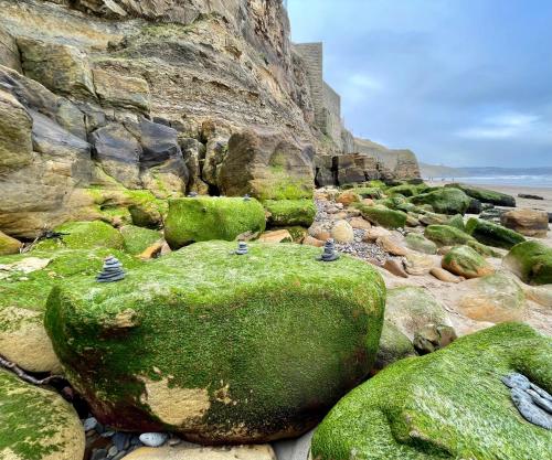 法凡公寓 法凡公寓