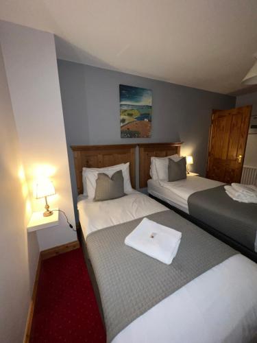 Dingle Marina Lodge - image 4