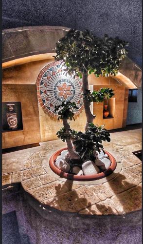 Kipros Accommodation in Nicosia