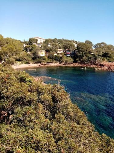 Les Orangers de Santa Lucia, vue mer et port, St Raphael near Le Coelacanthe