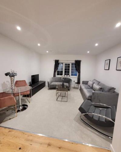Luxury Apartment In The Center Of Rochester