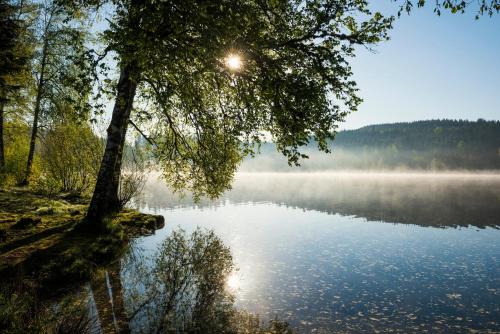 Ferienwohnung Am Schwellenweiher