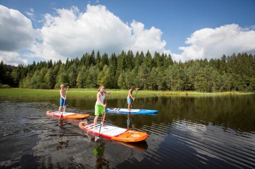 Ferienwohnung Am Schwellenweiher