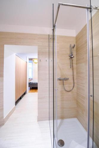 City Centre Chic Apartment Ljubljana 2/4, Lublaň (fotografie 9)