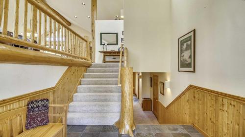 Paper Birch 09 Paper Birch 09