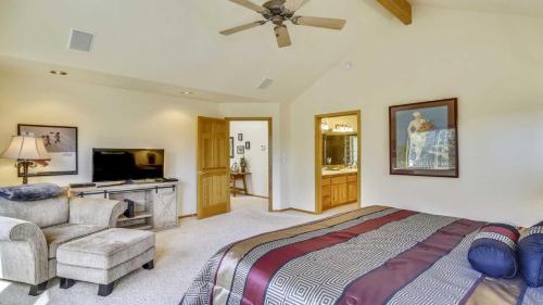 Paper Birch 09 Paper Birch 09