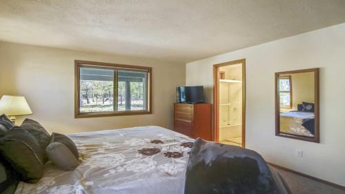 Paper Birch 09 Paper Birch 09