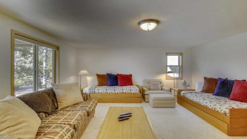 Paper Birch 09 Paper Birch 09