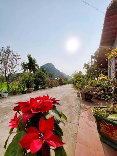 Ninh Binh Green Farmstay