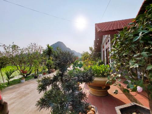 Ninh Binh Green Farmstay