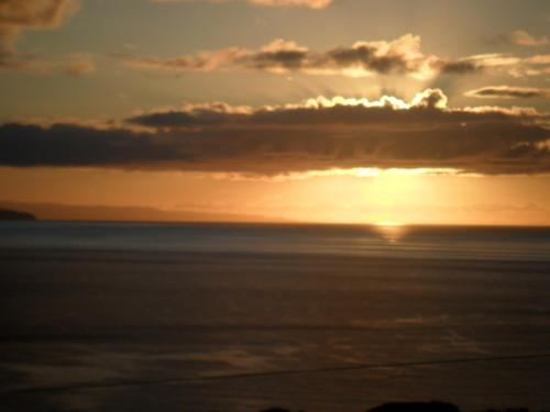 ระเบียง/ชานเรือน, Adega do Gato in ริเบริงยา