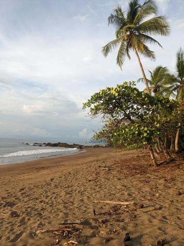 Ecobosque el mar