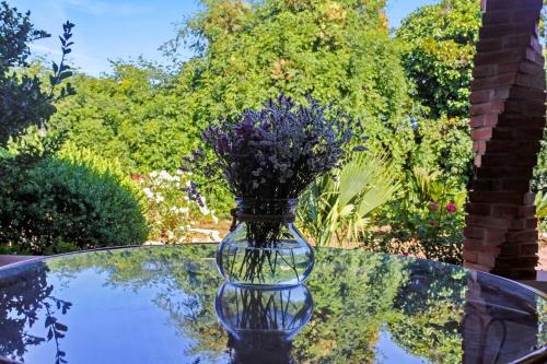 Huerto Valenciano - Sol y Tranquilidad - Piscina, Valencia (foto 7)