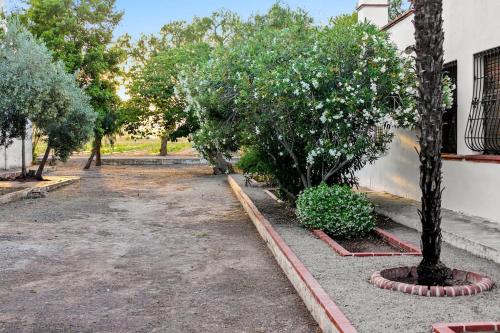 Huerto Valenciano - Sol y Tranquilidad - Piscina, Valencia (foto 9)