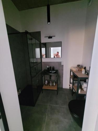 Apartament w Starym Mlynie Loft Różanka, Breslau (Foto 10)