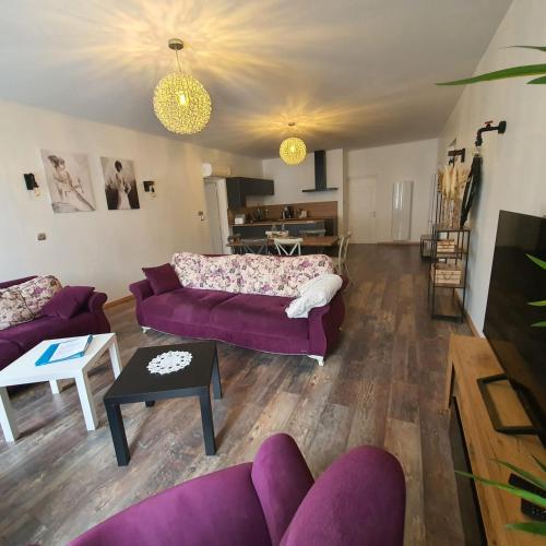 bel appartement - Apartment - Champeix