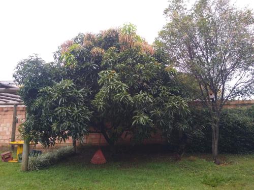 Sítio Descanso E Natureza Igarapé - 20km Inhotim