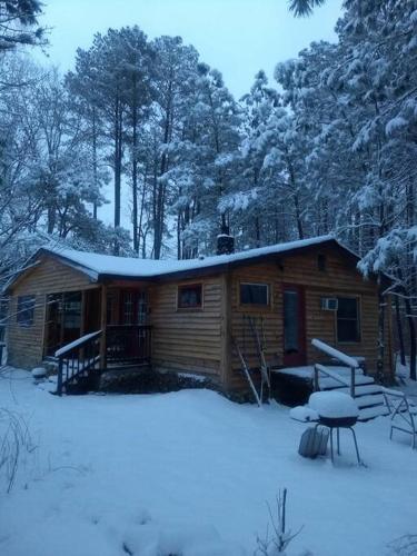 Rustic Quaint Cabin In the woods--Pets welcomed