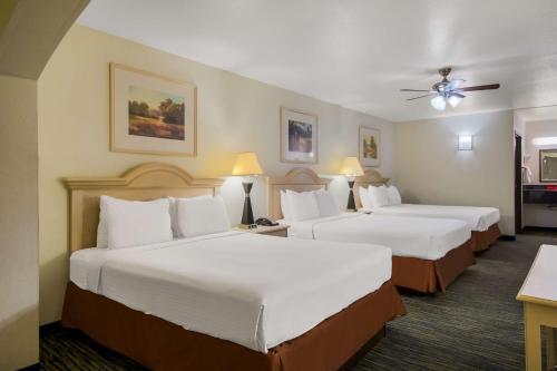 3 queen beds