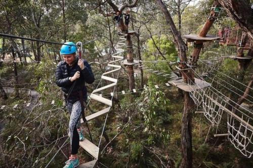 Beach Days Family Escape, Dromana