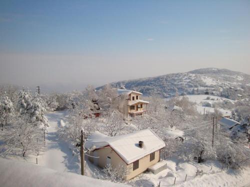 Family Hotel Diana - image 11