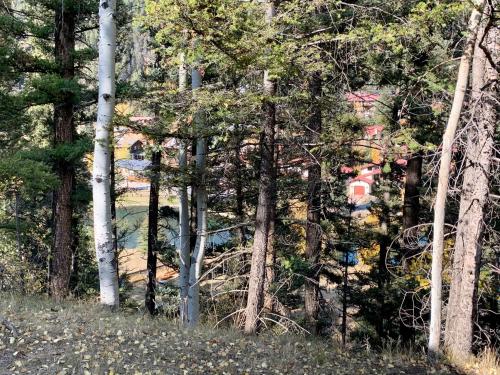 Rocky Top Vista - image 10