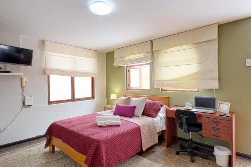 Charming Rooftop Studio in Miraflores Guesthouse