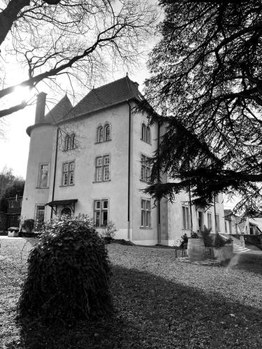 Bed and Breakfast Le Château de Morey - Chambre d'hôtes - Belleau