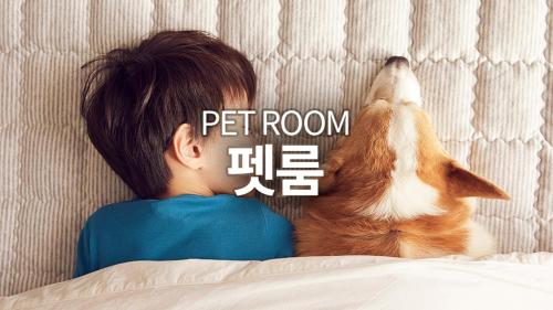 [Pet Room] Junior Suite Twin