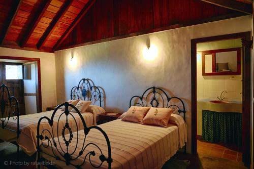 Salazar - main image