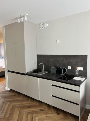 C4 Podgrzewany basen sauna, nowy Revist Szklarska, Szklarska Poręba (foto 7)
