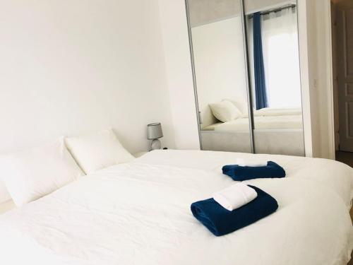 Cosy Apartement near Geneva - Location saisonnière - Saint-Julien-en-Genevois