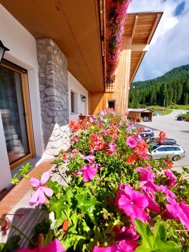 Rifugio Palafavera 5