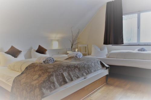 Verena's Parkhotel in Loffingen