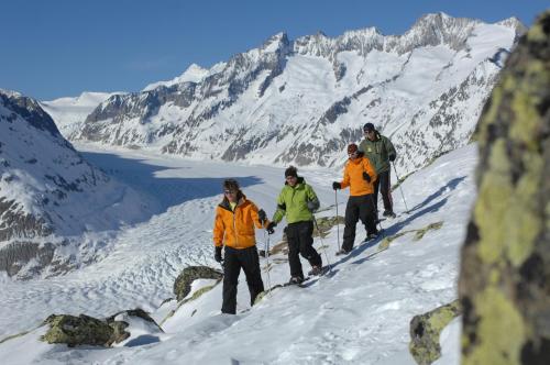 Ambiente Bettmeralp | A10