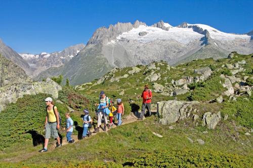 Ambiente Bettmeralp | A10