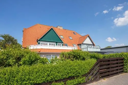 Albatros in Norderney, Deutschland