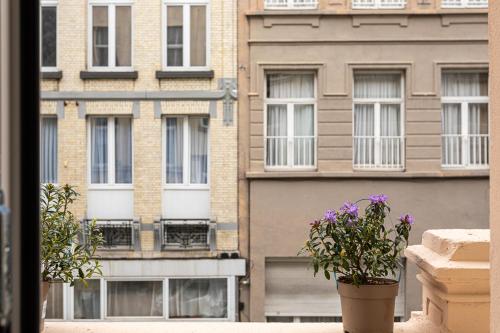 Studio Anvers, Amberes (foto 4)