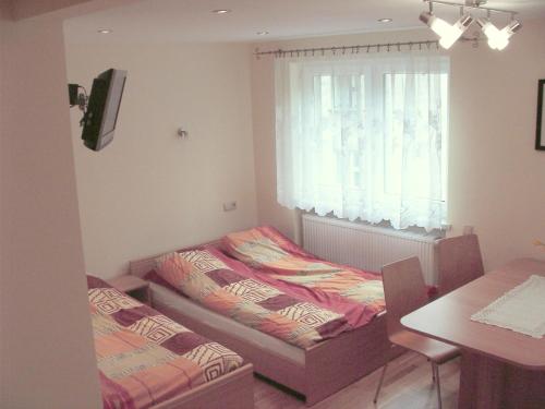 Family Studio (5 Adults)