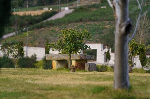 Quinta de Santa Barbara - image 14