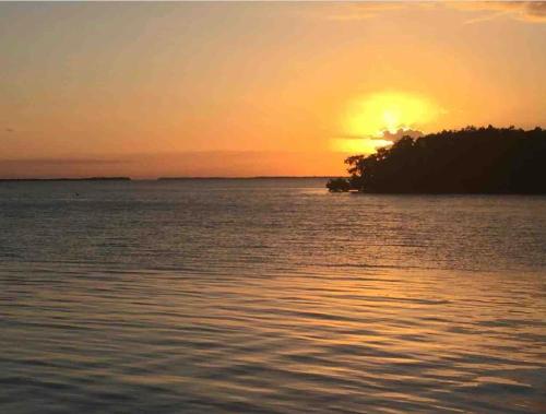 . Therapy Cabins - Belize Island Experience