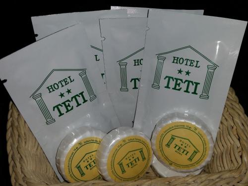 Hotel Teti, Рим (фото 8)