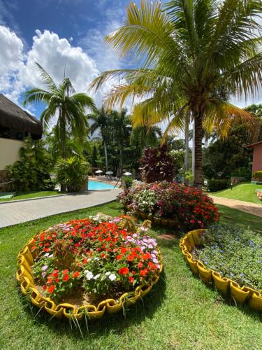 Hot spring hotel caldas novas - image 2