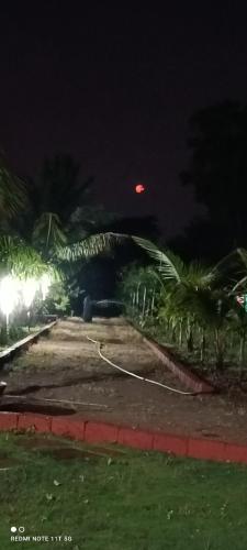 Vaidehi's farms