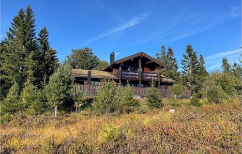. 4 Bedroom Stunning Home In Nissedal