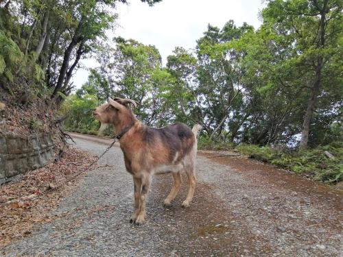 はこにわ｜田舎暮らしが体験できる宿