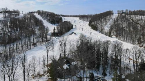690 Disciples Village Condo in Boyne Falls (Michigan)